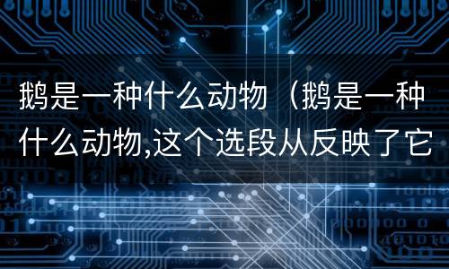 鹅是一种什么动物（鹅是一种什么动物,这个选段从反映了它的这一特点）
