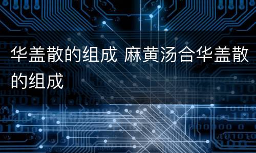 华盖散的组成 麻黄汤合华盖散的组成