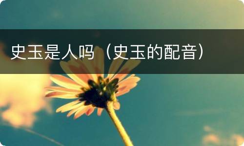 史玉是人吗（史玉的配音）