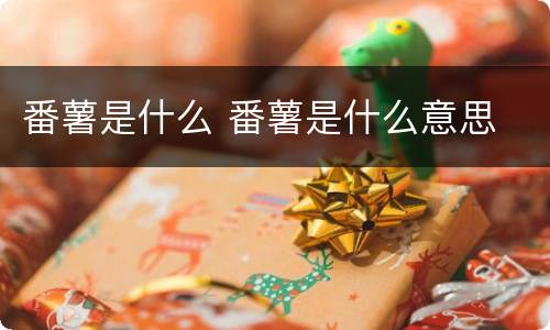 番薯是什么 番薯是什么意思