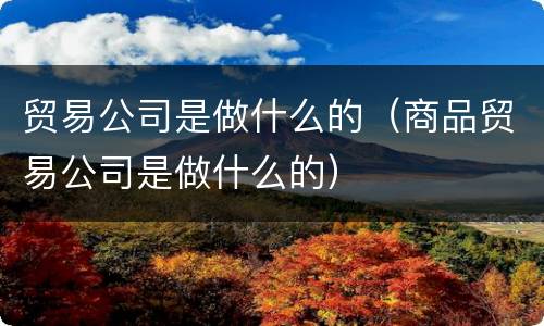 贸易公司是做什么的（商品贸易公司是做什么的）