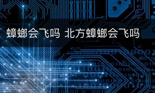 蟑螂会飞吗 北方蟑螂会飞吗