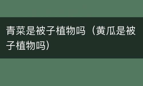青菜是被子植物吗（黄瓜是被子植物吗）