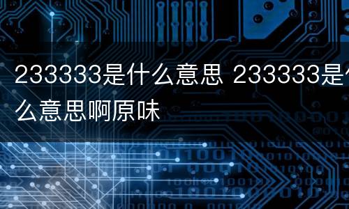233333是什么意思 233333是什么意思啊原味