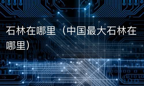 石林在哪里（中国最大石林在哪里）