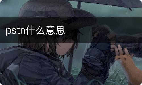 pstn什么意思