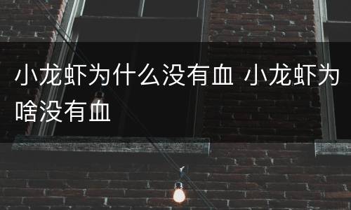 小龙虾为什么没有血 小龙虾为啥没有血