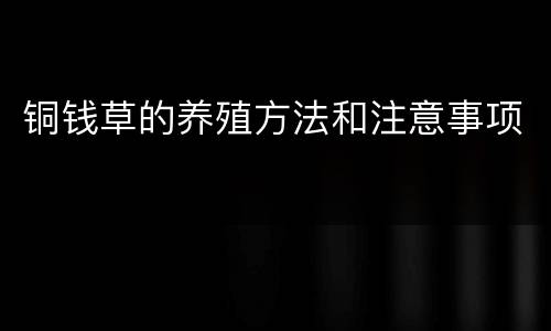 铜钱草的养殖方法和注意事项