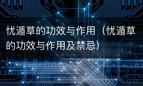 忧遁草的功效与作用（忧遁草的功效与作用及禁忌）
