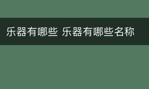 乐器有哪些 乐器有哪些名称