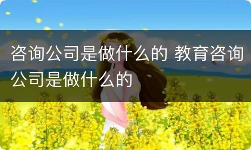 咨询公司是做什么的 教育咨询公司是做什么的