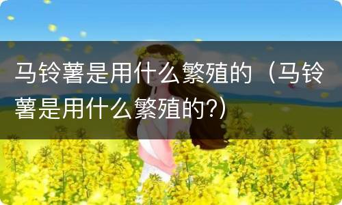 马铃薯是用什么繁殖的（马铃薯是用什么繁殖的?）