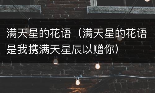 满天星的花语（满天星的花语是我携满天星辰以赠你）