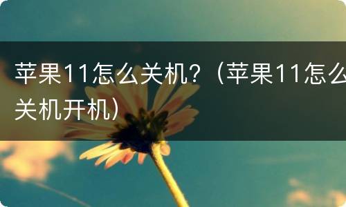 苹果11怎么关机?（苹果11怎么关机开机）