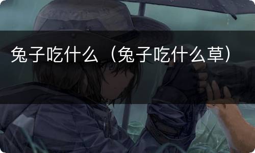 兔子吃什么（兔子吃什么草）