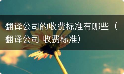 翻译公司的收费标准有哪些（翻译公司 收费标准）