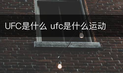 UFC是什么 ufc是什么运动