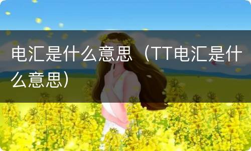 电汇是什么意思（TT电汇是什么意思）