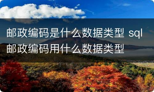 邮政编码是什么数据类型 sql邮政编码用什么数据类型