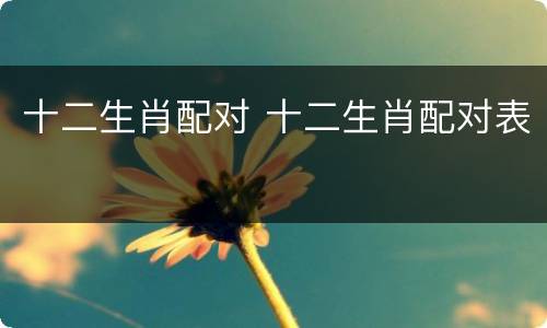 十二生肖配对 十二生肖配对表