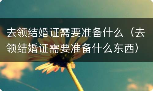 去领结婚证需要准备什么（去领结婚证需要准备什么东西）