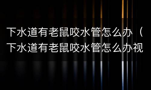 下水道有老鼠咬水管怎么办（下水道有老鼠咬水管怎么办视频）