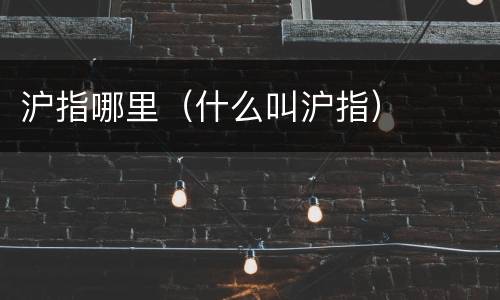 沪指哪里（什么叫沪指）