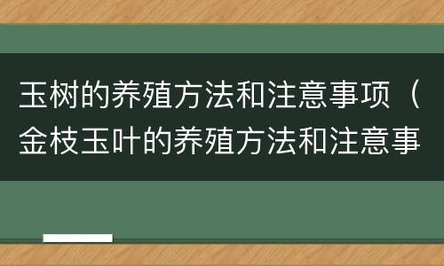 玉树的养殖方法和注意事项（金枝玉叶的养殖方法和注意事项）