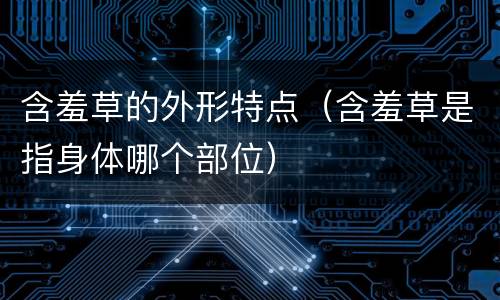 含羞草的外形特点（含羞草是指身体哪个部位）