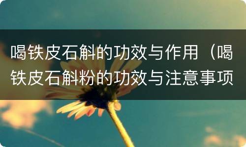 喝铁皮石斛的功效与作用（喝铁皮石斛粉的功效与注意事项）