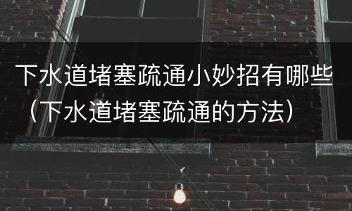 下水道堵塞疏通小妙招有哪些（下水道堵塞疏通的方法）