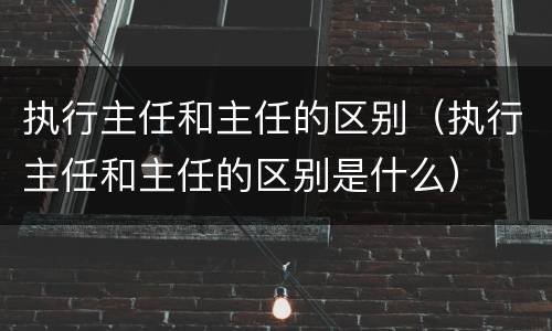 执行主任和主任的区别（执行主任和主任的区别是什么）