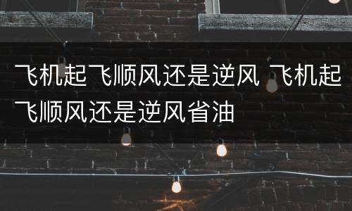 飞机起飞顺风还是逆风 飞机起飞顺风还是逆风省油