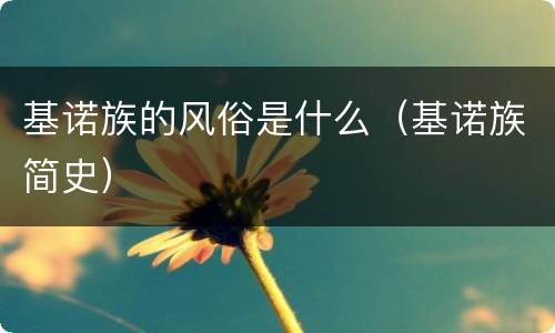 基诺族的风俗是什么（基诺族简史）