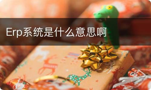 Erp系统是什么意思啊
