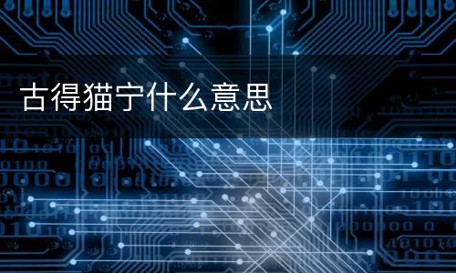 古得猫宁什么意思