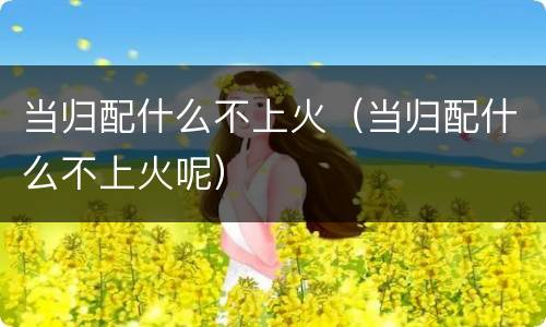 当归配什么不上火（当归配什么不上火呢）