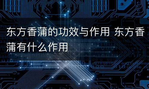 东方香蒲的功效与作用 东方香蒲有什么作用