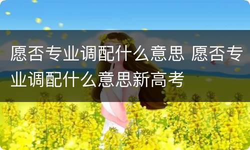 愿否专业调配什么意思 愿否专业调配什么意思新高考