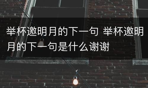 举杯邀明月的下一句 举杯邀明月的下一句是什么谢谢