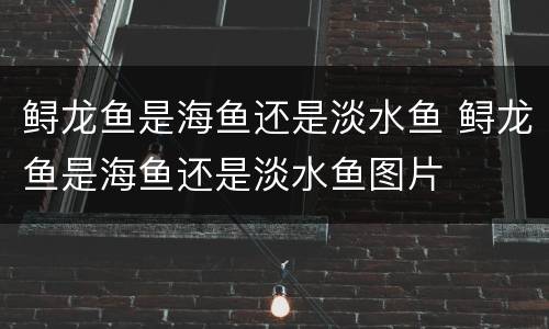 鲟龙鱼是海鱼还是淡水鱼 鲟龙鱼是海鱼还是淡水鱼图片