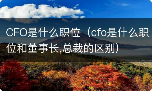 CFO是什么职位（cfo是什么职位和董事长,总裁的区别）