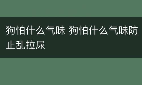 狗怕什么气味 狗怕什么气味防止乱拉尿