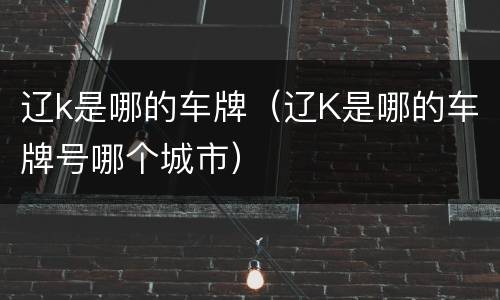 辽k是哪的车牌（辽K是哪的车牌号哪个城市）