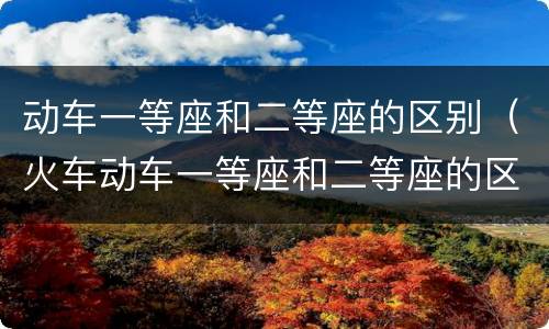 动车一等座和二等座的区别（火车动车一等座和二等座的区别）
