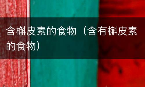 含槲皮素的食物（含有槲皮素的食物）
