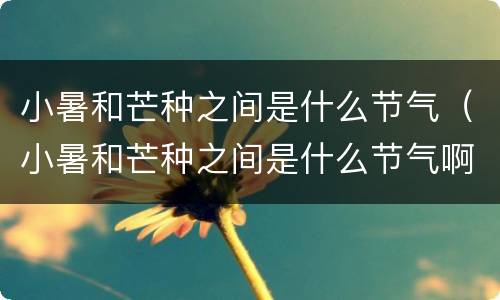 小暑和芒种之间是什么节气（小暑和芒种之间是什么节气啊）