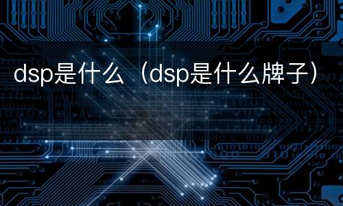 dsp是什么（dsp是什么牌子）