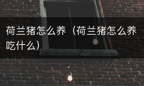 荷兰猪怎么养（荷兰猪怎么养吃什么）
