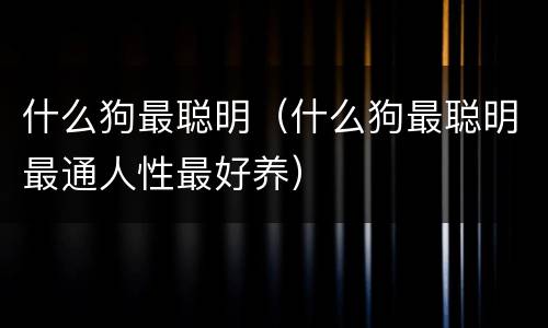 什么狗最聪明（什么狗最聪明最通人性最好养）